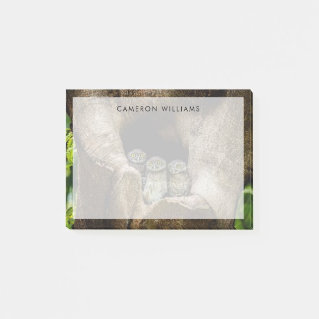 Forests | Three Owls Looking Post-it Notes (Front)