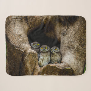 Forests Three Owls Looking Sherpa Blanket