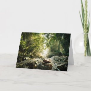 Forests   Tropical Jungle Forest Card