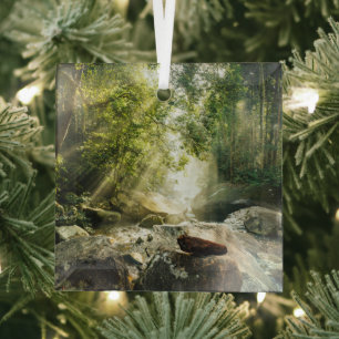 Forests Tropical Jungle Forest Glass Ornament