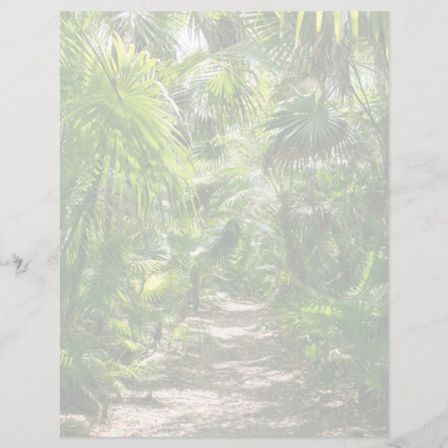 Forests | Tropical Rainforest Tulum Mexico (Front)