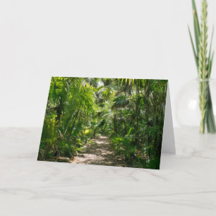 Forests   Tropical Rainforest Tulum Mexico Card
