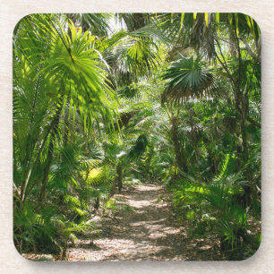 Forests Tropical Rainforest Tulum Mexico Coaster
