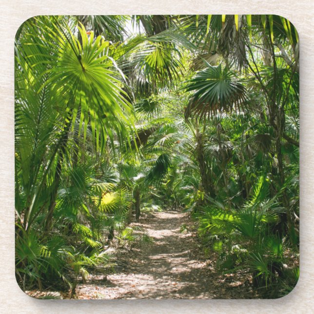 Forests | Tropical Rainforest Tulum Mexico Coaster (Front)