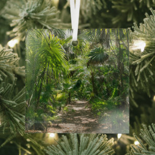 Forests   Tropical Rainforest Tulum Mexico Glass Ornament
