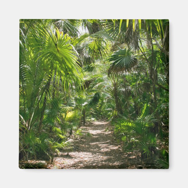 Forests | Tropical Rainforest Tulum Mexico Magnet (Front)