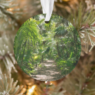 Forests   Tropical Rainforest Tulum Mexico Ornament