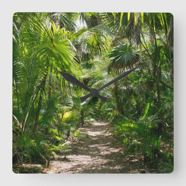 Forests | Tropical Rainforest Tulum Mexico Square Wall Clock (Front)
