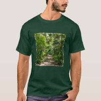 Forests | Tropical Rainforest Tulum Mexico