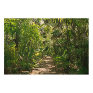 Forests   Tropical Rainforest Tulum Mexico Wood Wall Art