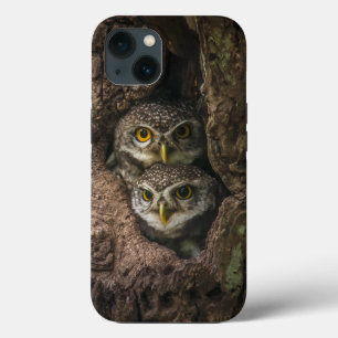 Forests   Two Owls Looking iPhone 13 Case