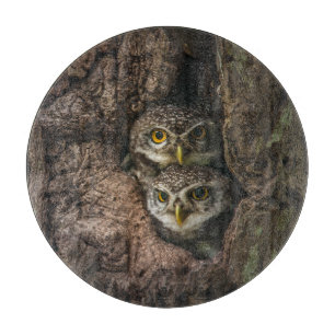 Forests   Two Owls Looking Cutting Board