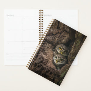 Forests Two Owls Looking Planner