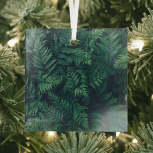 Forests Woodland Ferns Glass Ornament