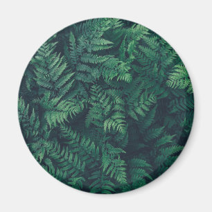 Forests   Woodland Ferns Magnet