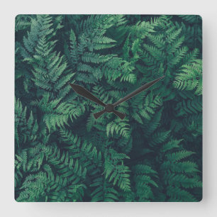 Forests   Woodland Ferns Square Wall Clock