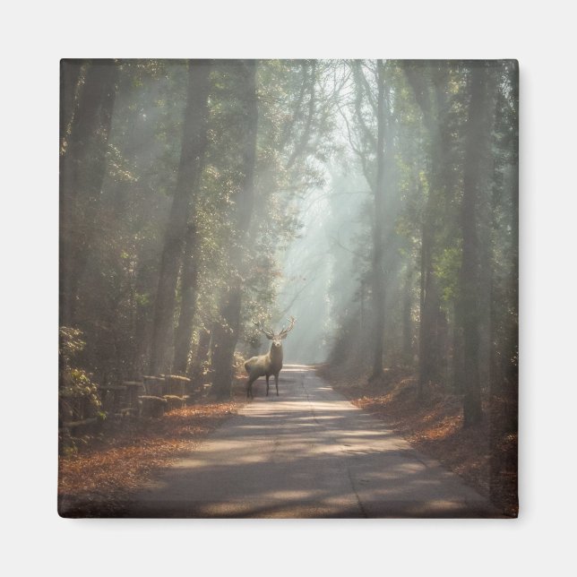 Forests | Woodland Stag Magnet (Front)