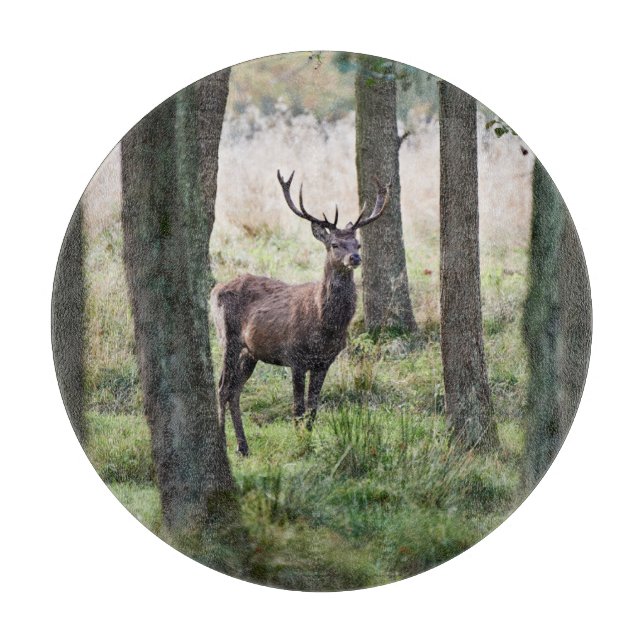 Forests | Woodlands & Red Deer Cutting Board (Front)