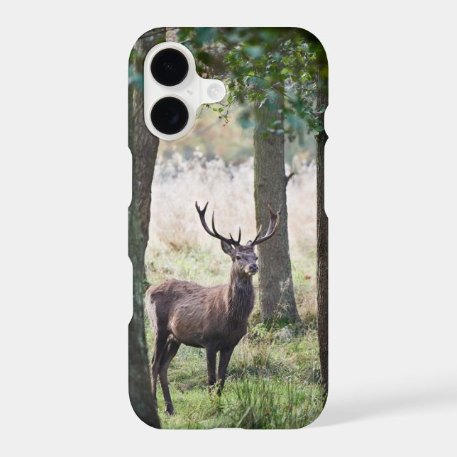 Forests | Woodlands & Red Deer iPhone Case (Back)