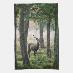 Forests Woodlands & Red Deer Kitchen Towel