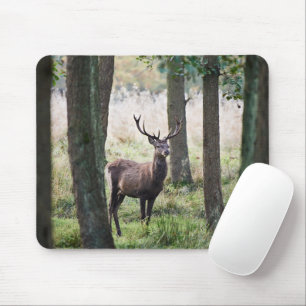 Forests Woodlands & Red Deer Mouse Pad