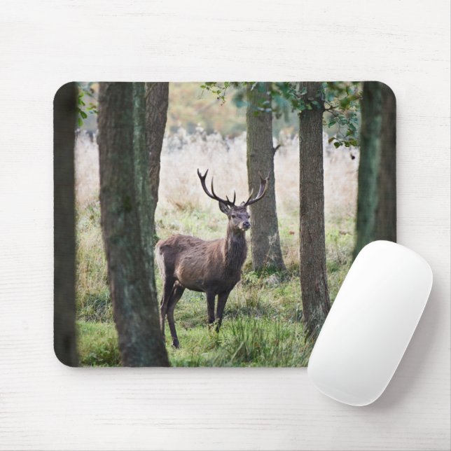 Forests | Woodlands & Red Deer Mouse Pad (With Mouse)