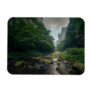 Forests   Zhangjiajie National Forest Park Magnet