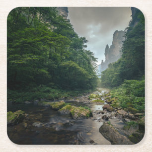 Forests   Zhangjiajie National Forest Park Square Paper Coaster