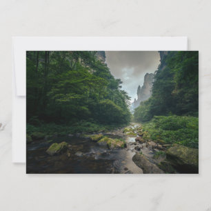 Forests   Zhangjiajie National Forest Park Thank You Card
