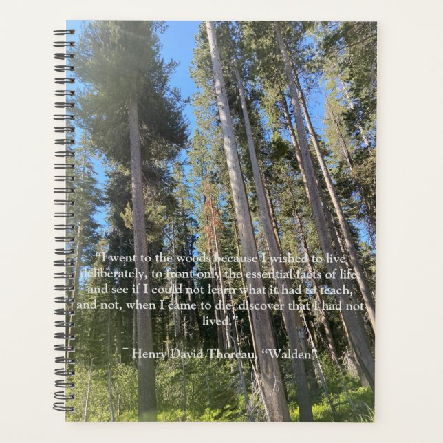 Forêt d'arbres Carnet Thoreau (Devant)