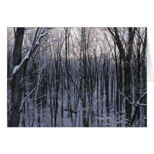 Forêt d'arbres neigeux
