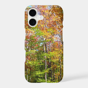Forêt d'automne II Photographie de paysage automna