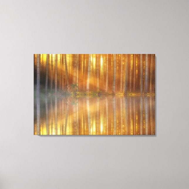 Forêt de bouleaux Toile d'Art Mur (Recto)