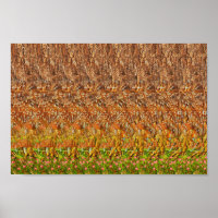 Forêt de cerfs - Impression 3D cachée