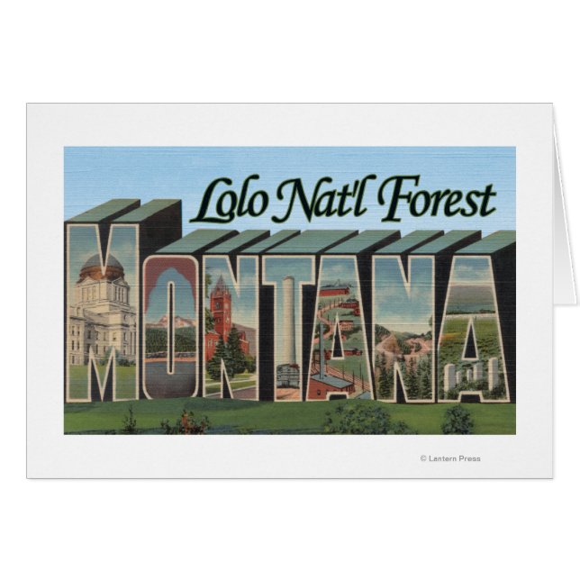 Forêt de Lolo Nat'l, Montana (Devant horizontal)