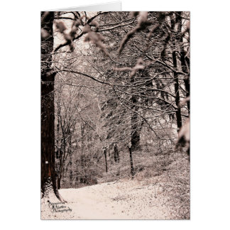 Forêt d'hiver (5.0)