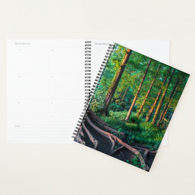 Forêt en été (Devant avec enveloppe)