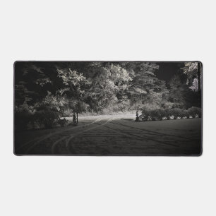 Forêt enneigée la nuit