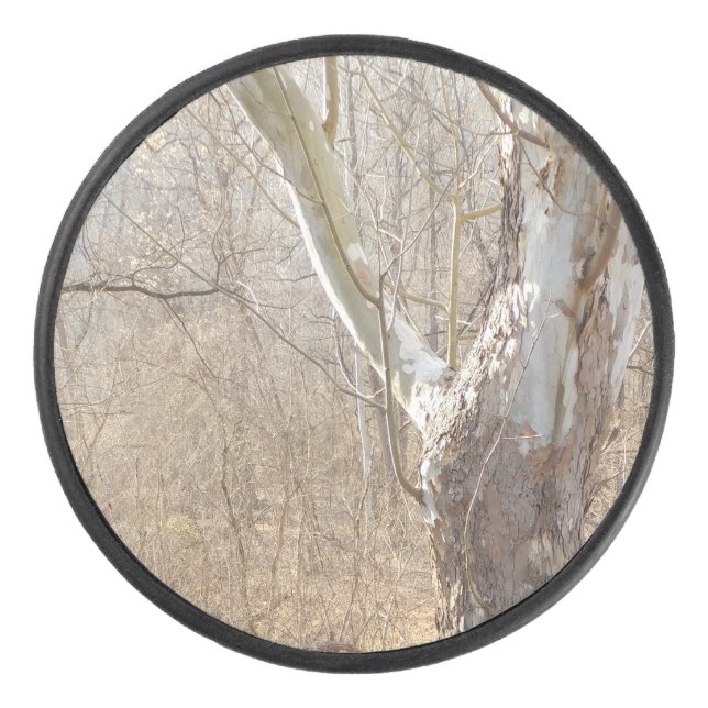 forêt hivernale (Devant)