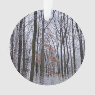 Forêt huppée neige paysage d'hiver Photographie