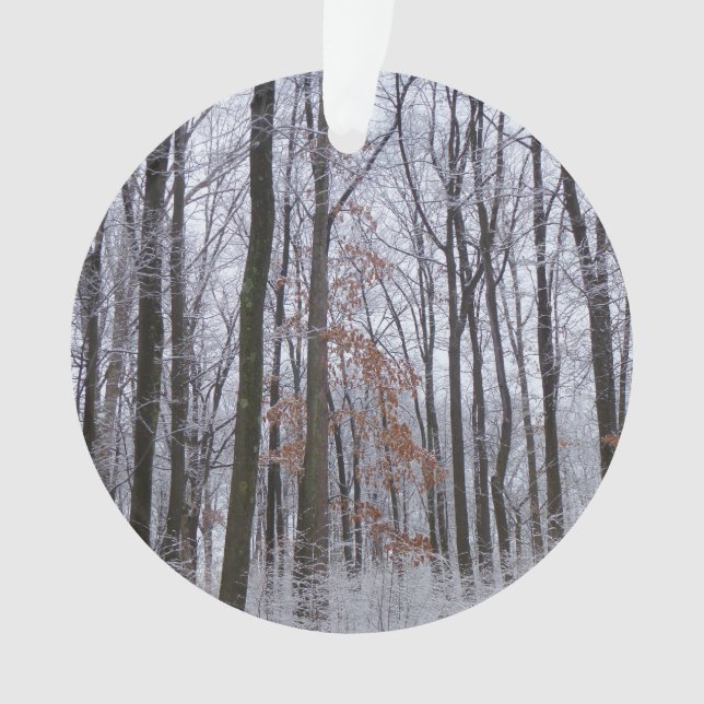 Forêt huppée neige paysage d'hiver Photographie (devant)