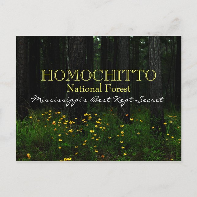 Forêt nationale d'Homochitto - Mississippi carte p (Devant)