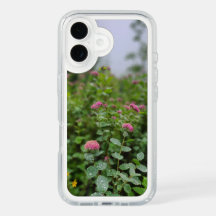 Forêt Nature