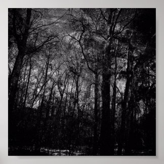 FORÊT NOIRE SUR POSTER