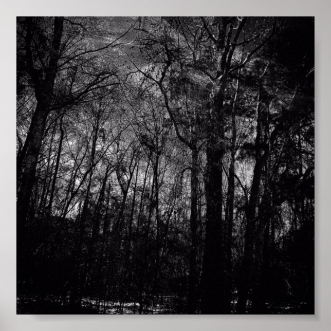 FORÊT NOIRE SUR POSTER (Devant)