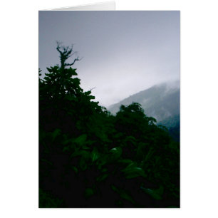 "Forêt nuageuse"