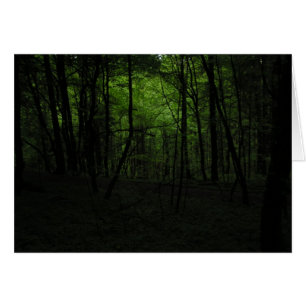 Forêt sombre abandonnée