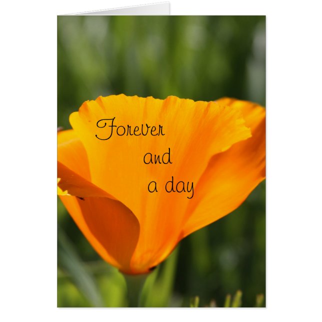 Forever and a day (Front)