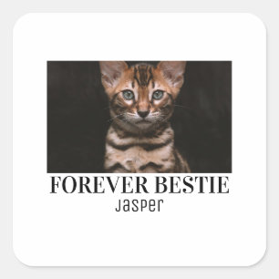 Forever bastie minimilist pet bastie square sticker