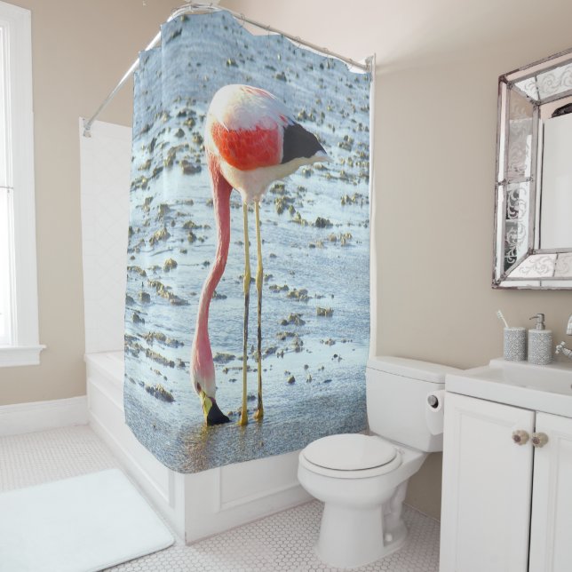 Forever Flamingo (In Situ)